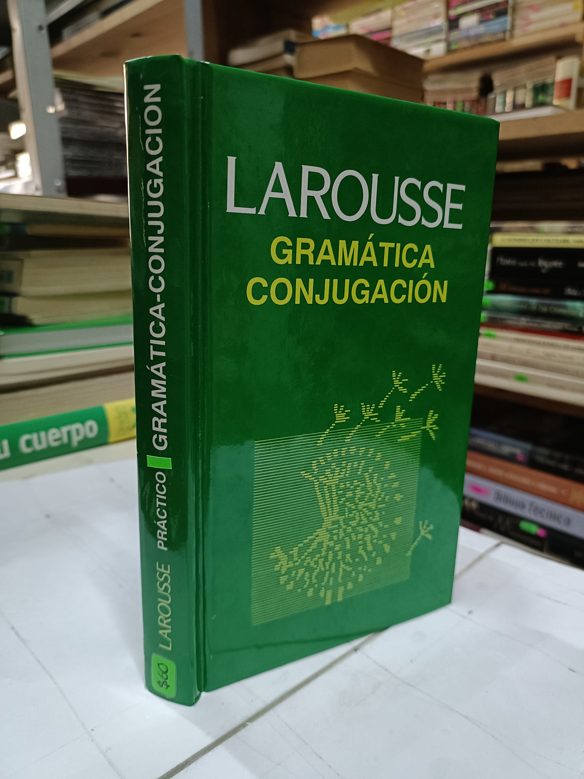 DICCIONARIO PRACTICO GRAMATICA CONJUGACION POR LAROUSSE USADO EDUCACION LITERARIO 207