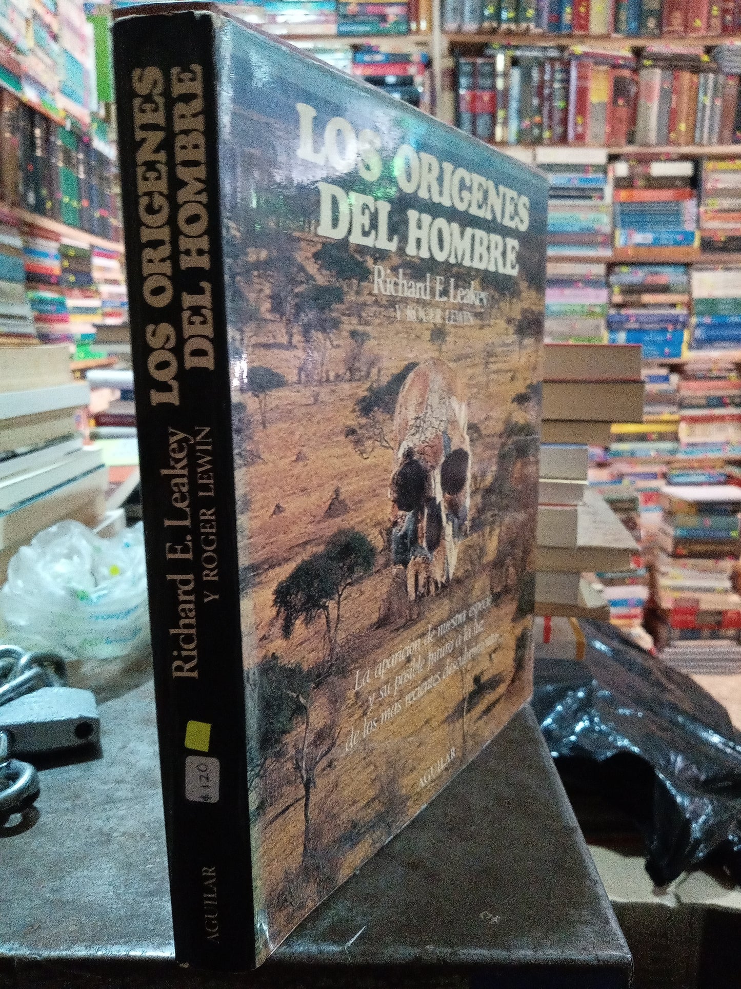LOS ORIGENES DEL HOMBRE POR RICHARD E LEAKEY USADO HISTORIA ALDAMA
