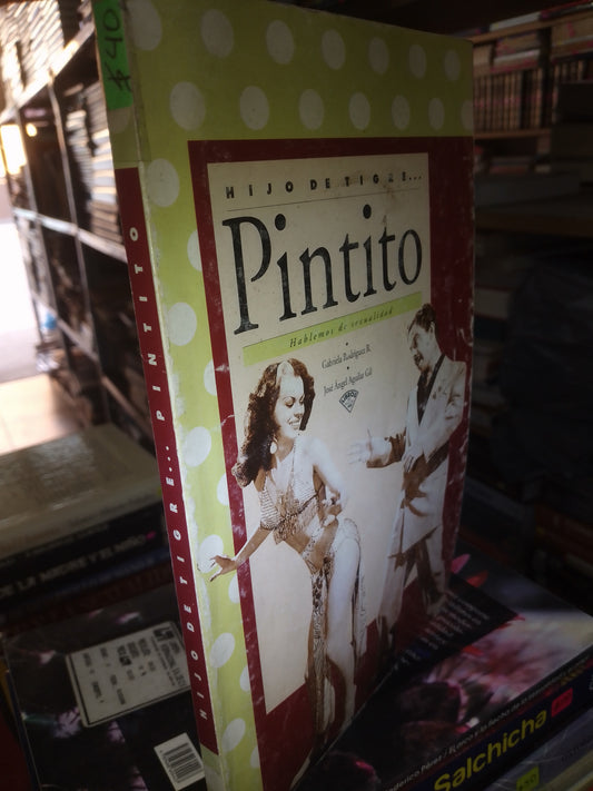 HIJO DE TIGRE PINTITO POR GABRIELA RODRIGUEZ USADO PSICOLOGÍA LITERARIO 207