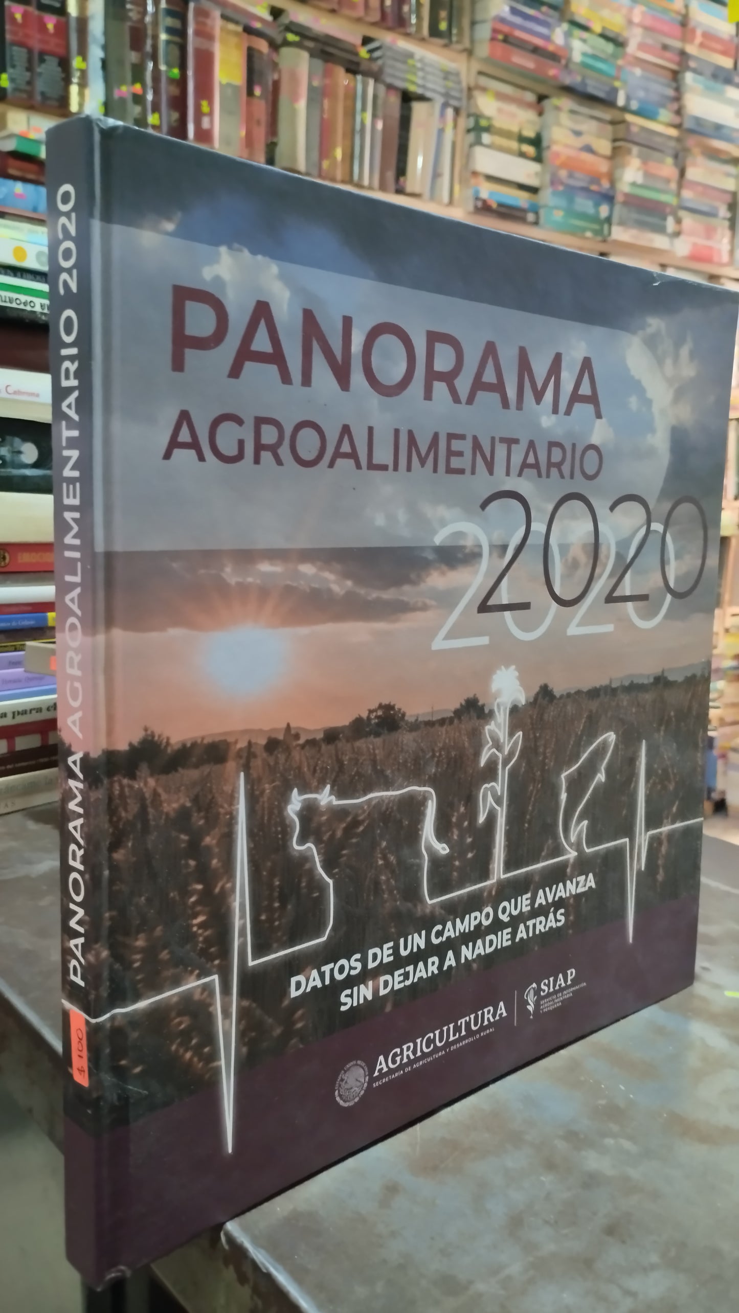 PANORAMA AGROALIMENTARIO 2020 LIBRO USADO AGRICULTURA ALDAMA