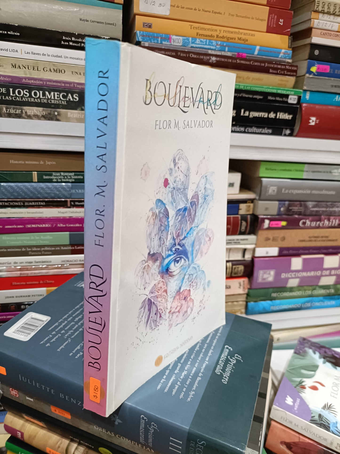 BOULEVARD POR FLOR M SALVADOR USADOS NOVELAS JUAREZ 515