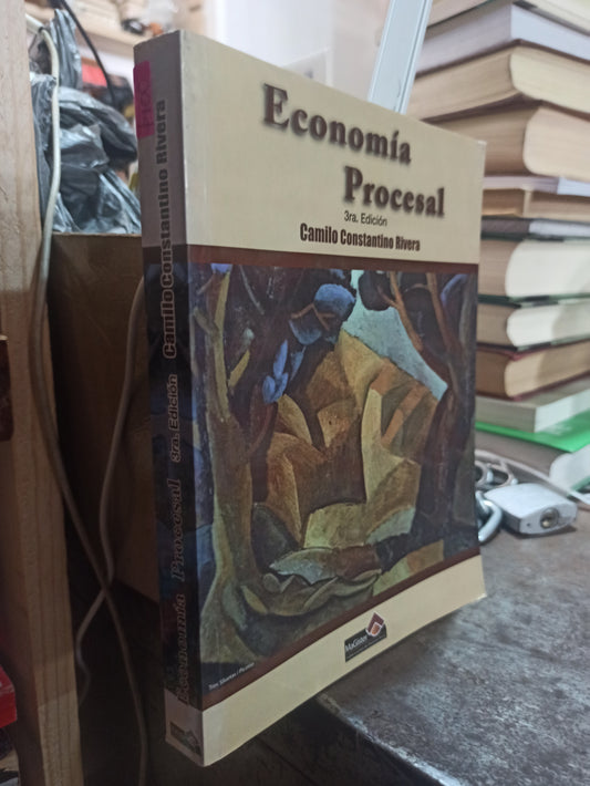 ECONOMIA PROCESAL POR CAMILO CONSTANTINO RIVERA USADO DERECHO ALDAMA