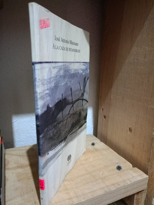 A LA CAZA DE INTANGIBLES POT JOSE ANTONIO MATESANZ USADO POESIA LITERARIO #305