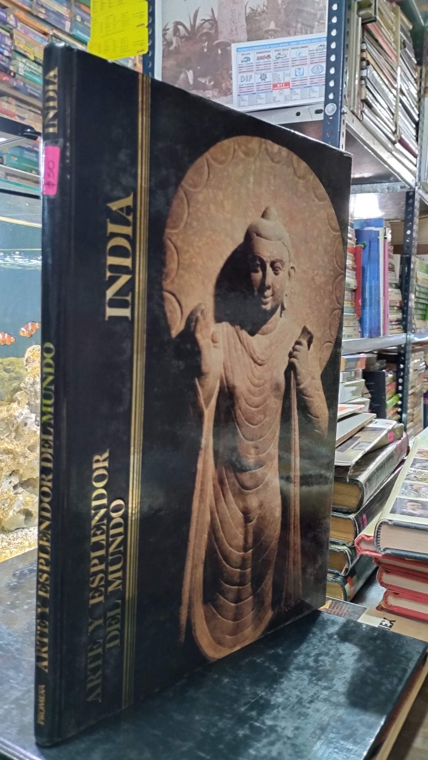 ARTE Y ESPLENDOR DEL MUNDO INDIA LIBRO USADO ARTE ALDAMA