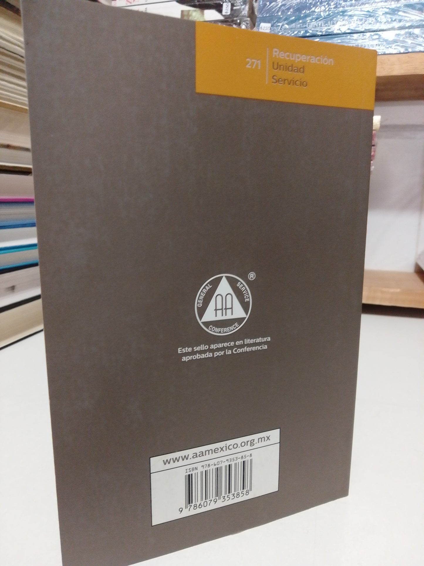 LOS ALCOHÓLICOS LGBTQ DOBLE A USADO SUP.PERSONAL JUÁREZ