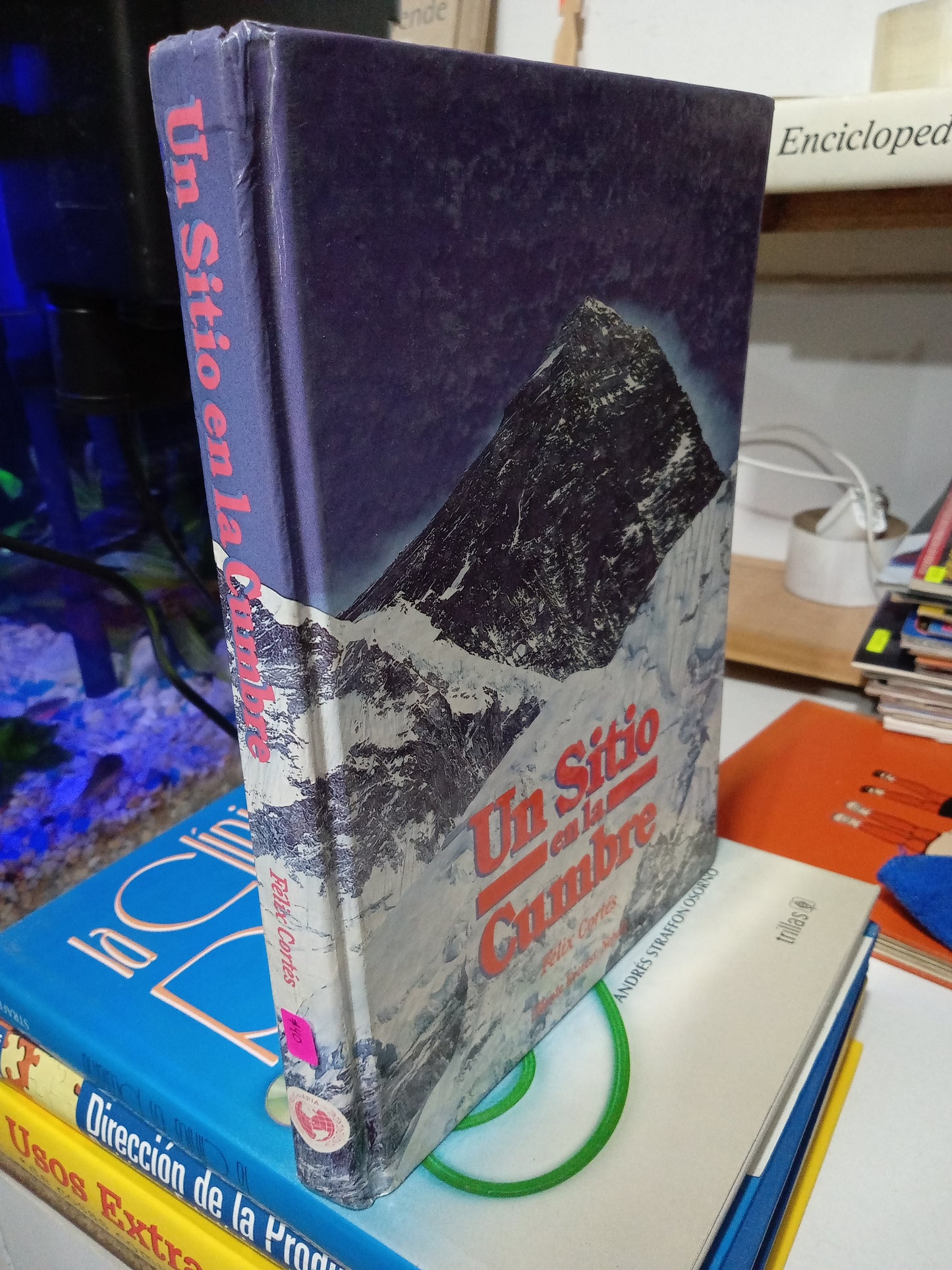 UN SITIO EN LA CUMBRE POR FELIX CORTES USADO NOVELA JUAREZ