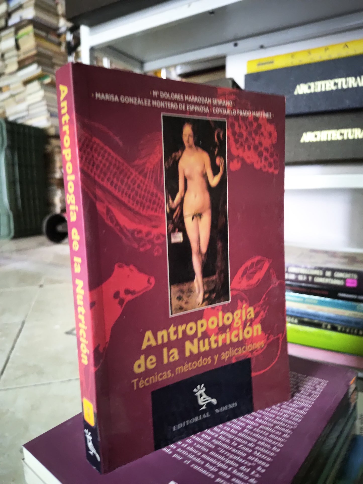 ANTROPOLOGIA DE LA NUTRICION POR EDITORIAL NOESIS USADO SOCIOLOGIA JUAREZ 515
