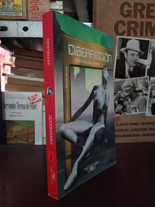 CIBERFICCION (ANTOLOGIA DE CUENTOS) POR RICARDO BERNAL USADO NOVELA LITERARIO 305