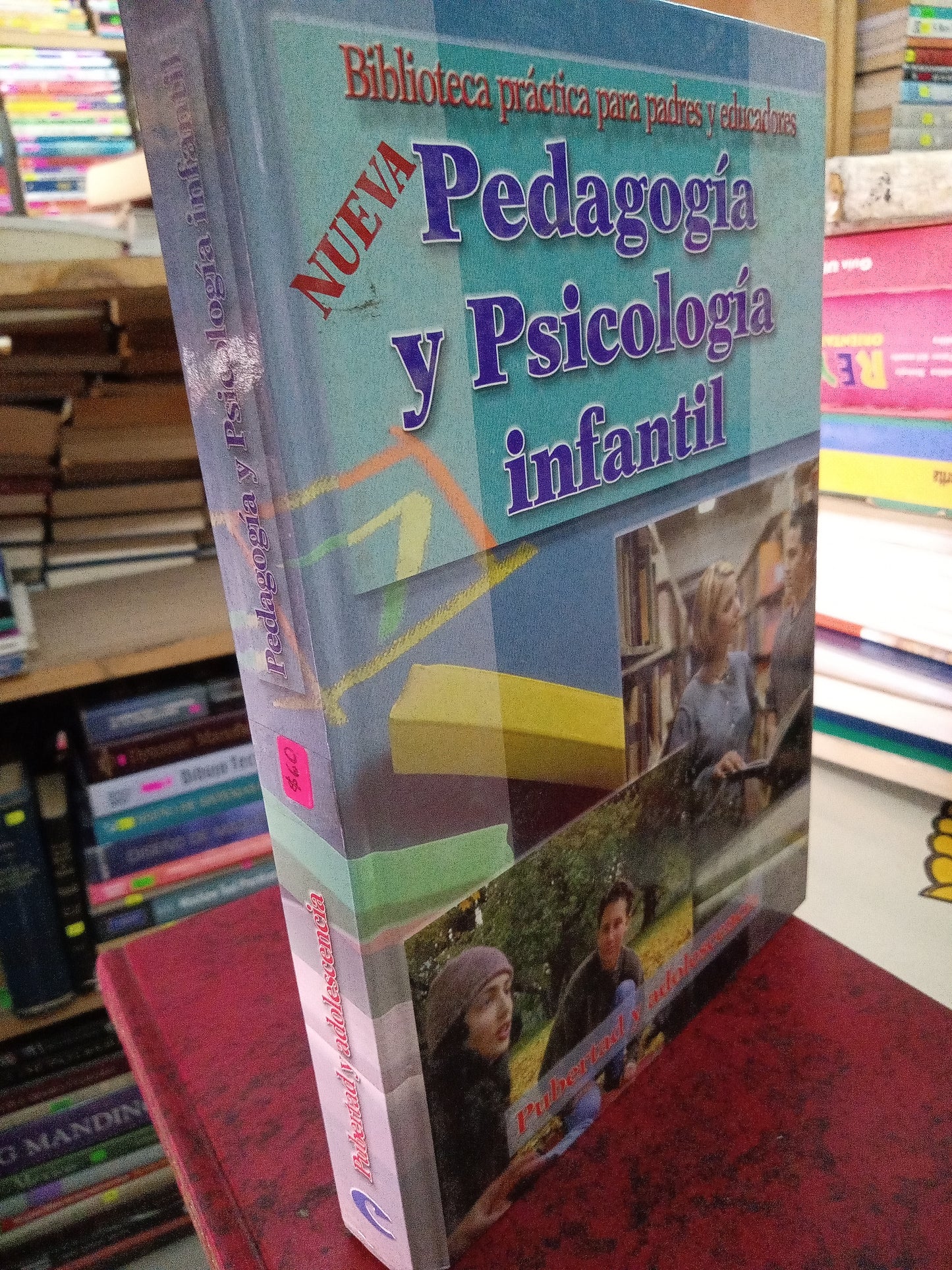 PEDAGOGIA Y PSICOLOGIA INFANTIL PUBERTAD Y ADOLECENCIA USADO PSICOLOGÍA LITERARIO 207
