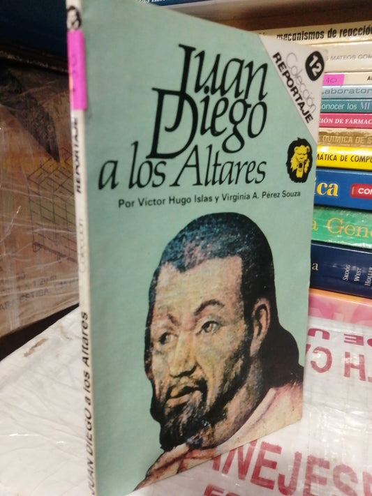 JUAN DIEGO A LOS ALTARES POR VÍCTOR HUGO ISLAS Y VIRGINIA A PÉREZ USADO NOVELA JUÁREZ