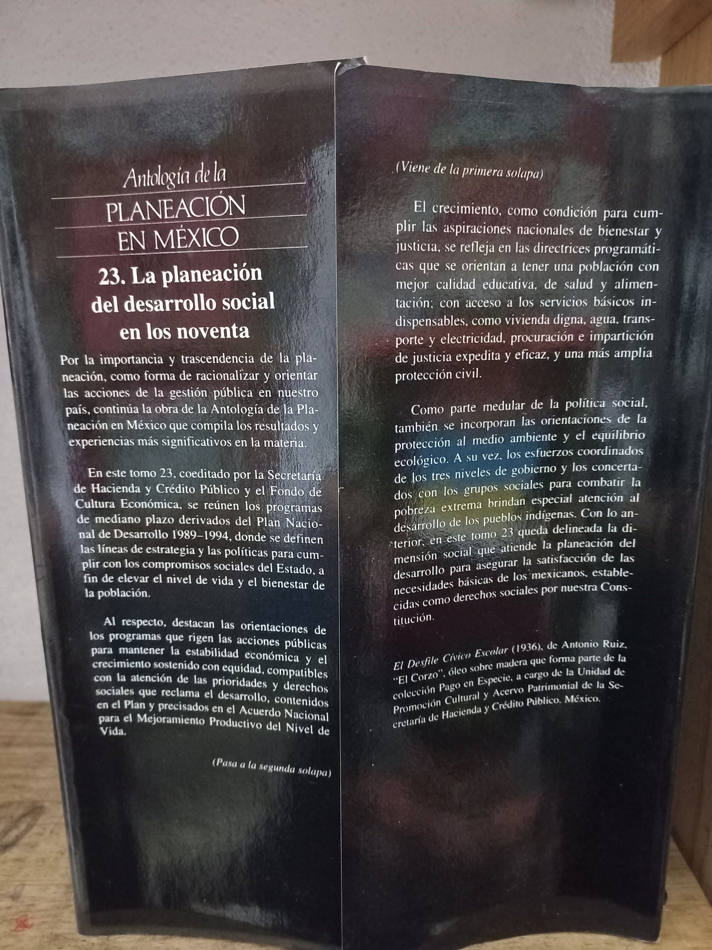 LA PLANEACIÓN DEL DESARROLLO SOCIAL EN LOS NOVENTA ANTOLOGÍA DE LA PLANEACIÓN EN MÉXICO TOMO 23 USADO HISTORIA LITERARIO 305