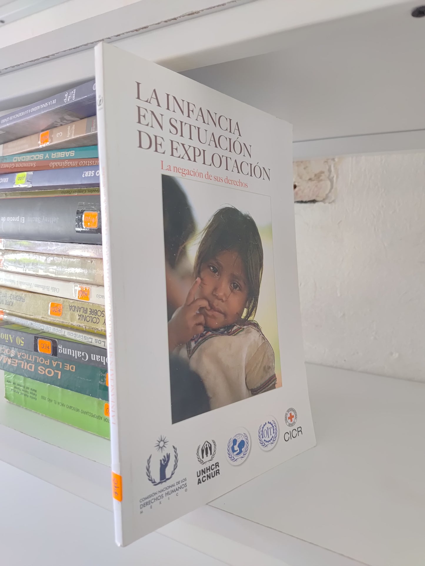 LA INFANCIA EN SITUACION DE EXPLOTACION POR LA CNDH USADO SOCIOLOGIA JUAREZ 515
