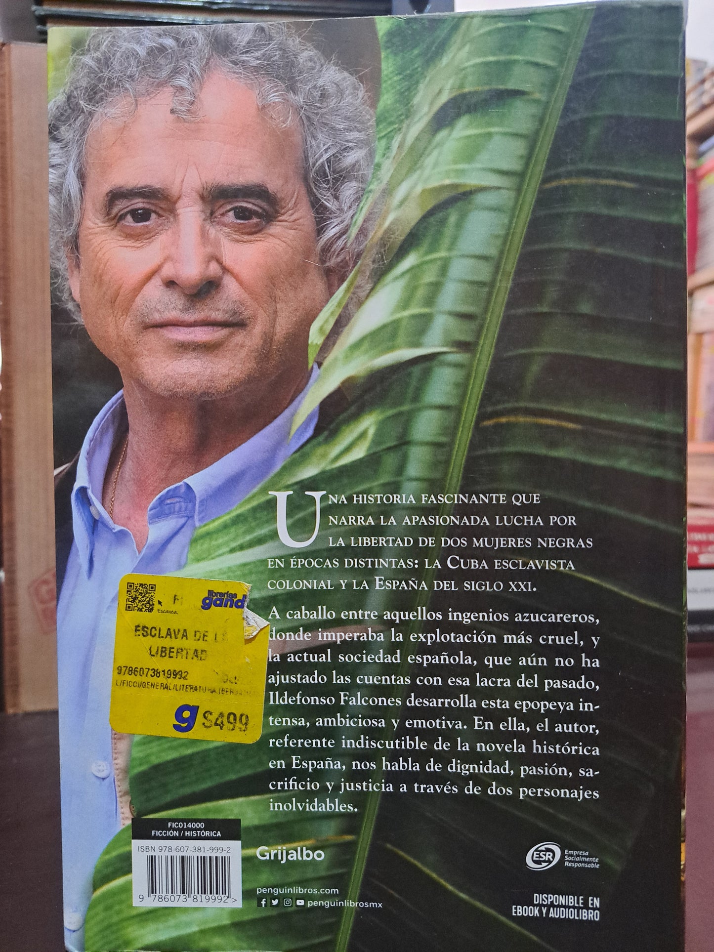 ESCLAVA DE LA LIBERTAD ILDEFONSO FALCONES USADO NOVELA LITERARIO 305