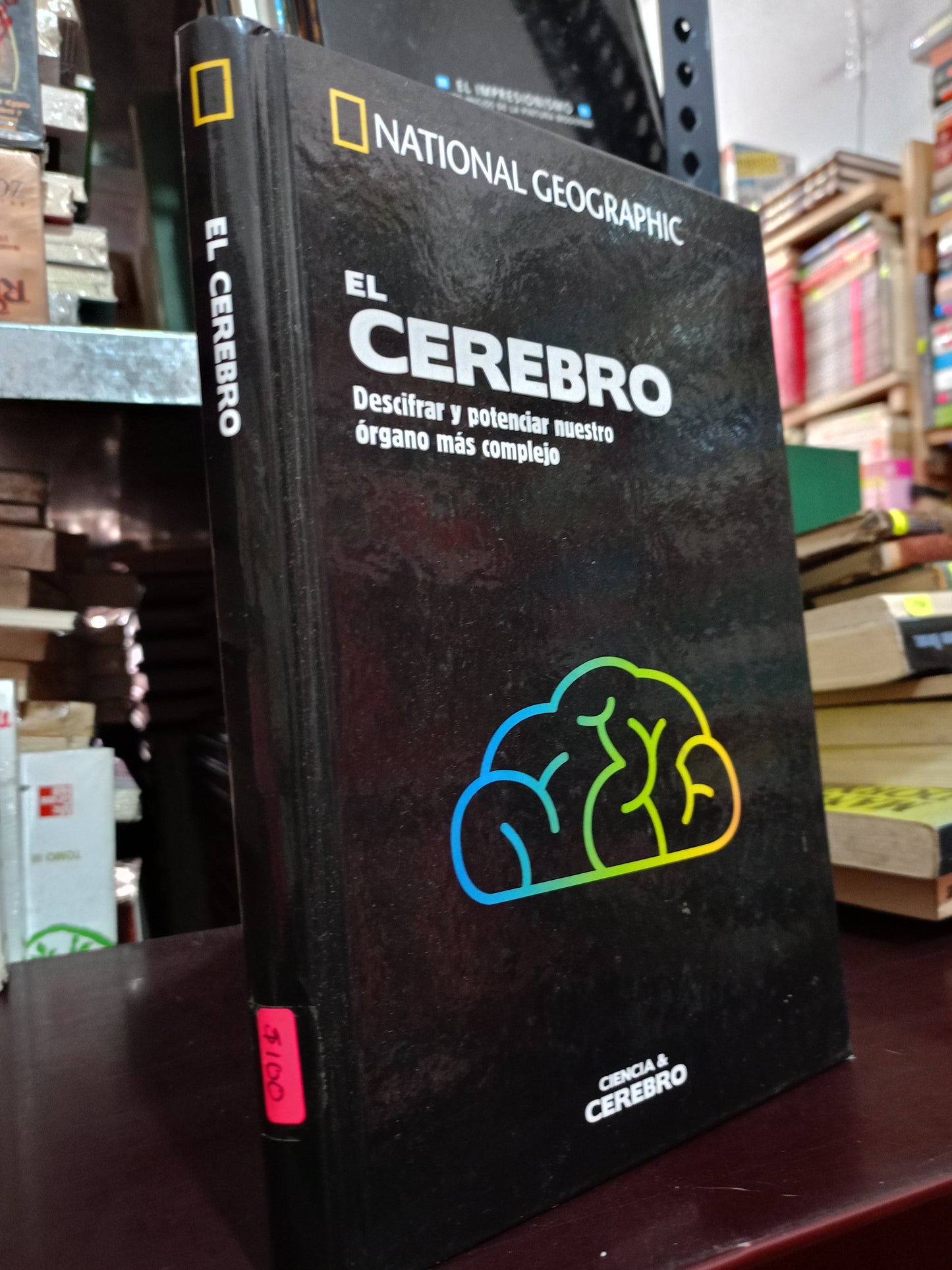 EL CEREBRO USADO CIENCIA LITERARIO 305