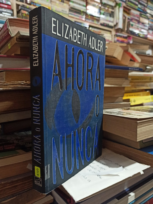 AHORA O NUNCA ELIZABETH ADLER USADO NOVELAS ALDAMA
