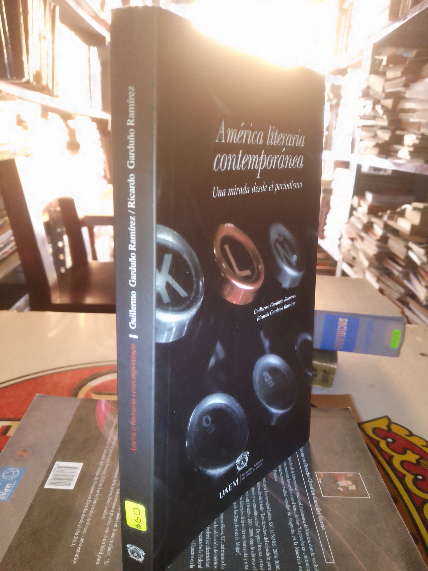 AMERICA LITERARIA CONTEMPORÁNEA POR GUILLERMO GARDUÑO USADO SOCIOLOGÍA LITERARIO 207