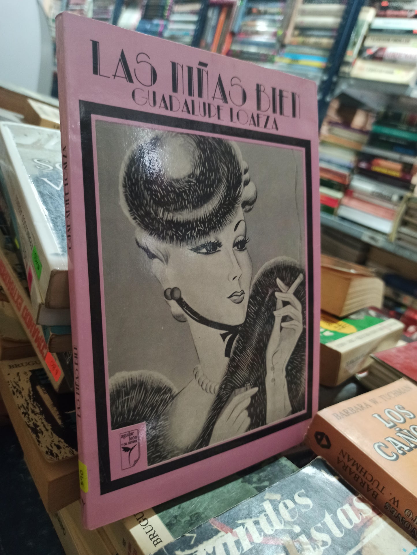 LAS NIÑAS BIEN POR GUADALUPE LOAZA USADO NOVELAS ALDAMA