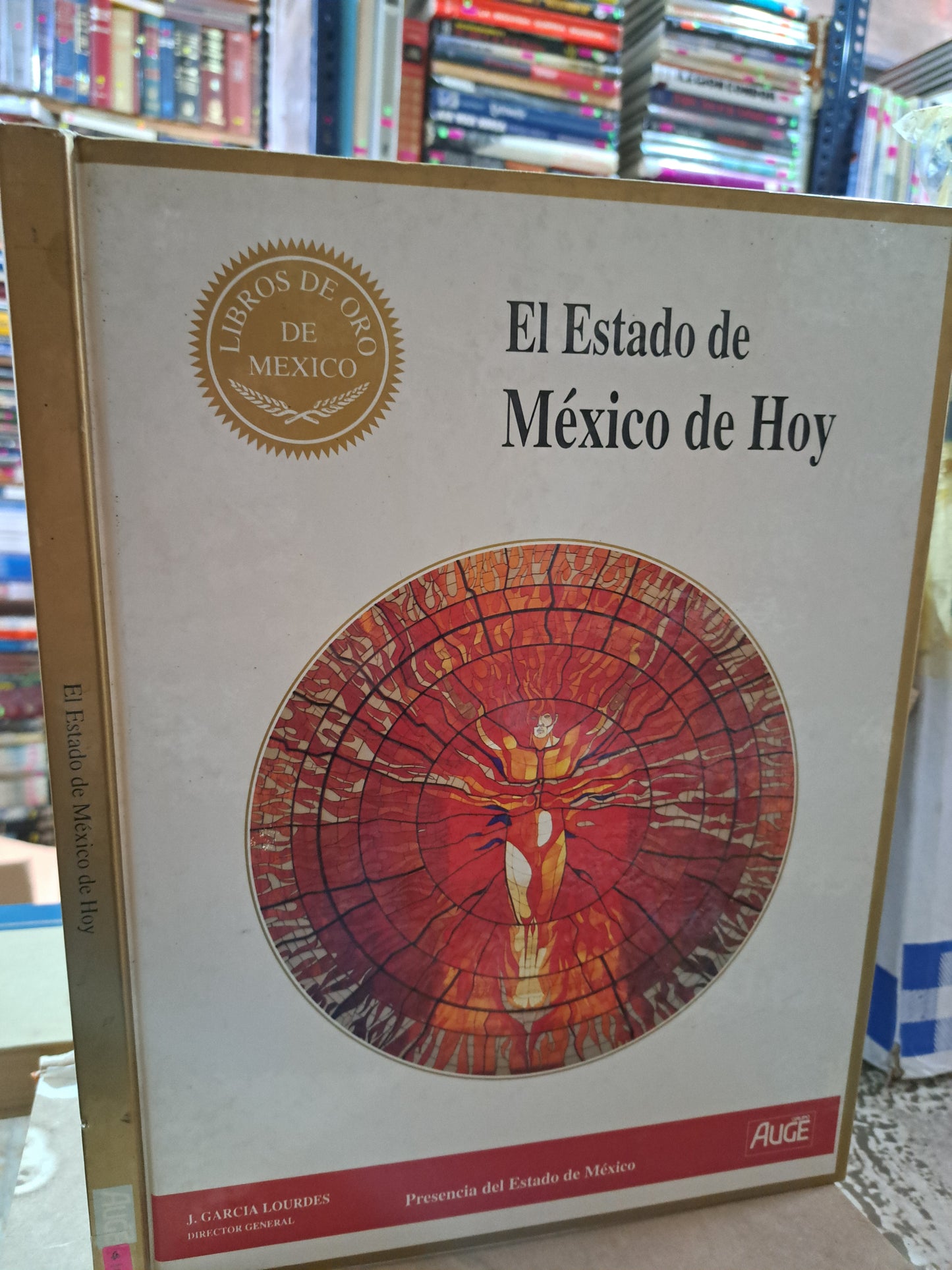 EL ESTADO DE MÉXICO DE HOY J. GARCÍA DE LOURDES  USADO ESTADO DE MÉXICO ALDAMA