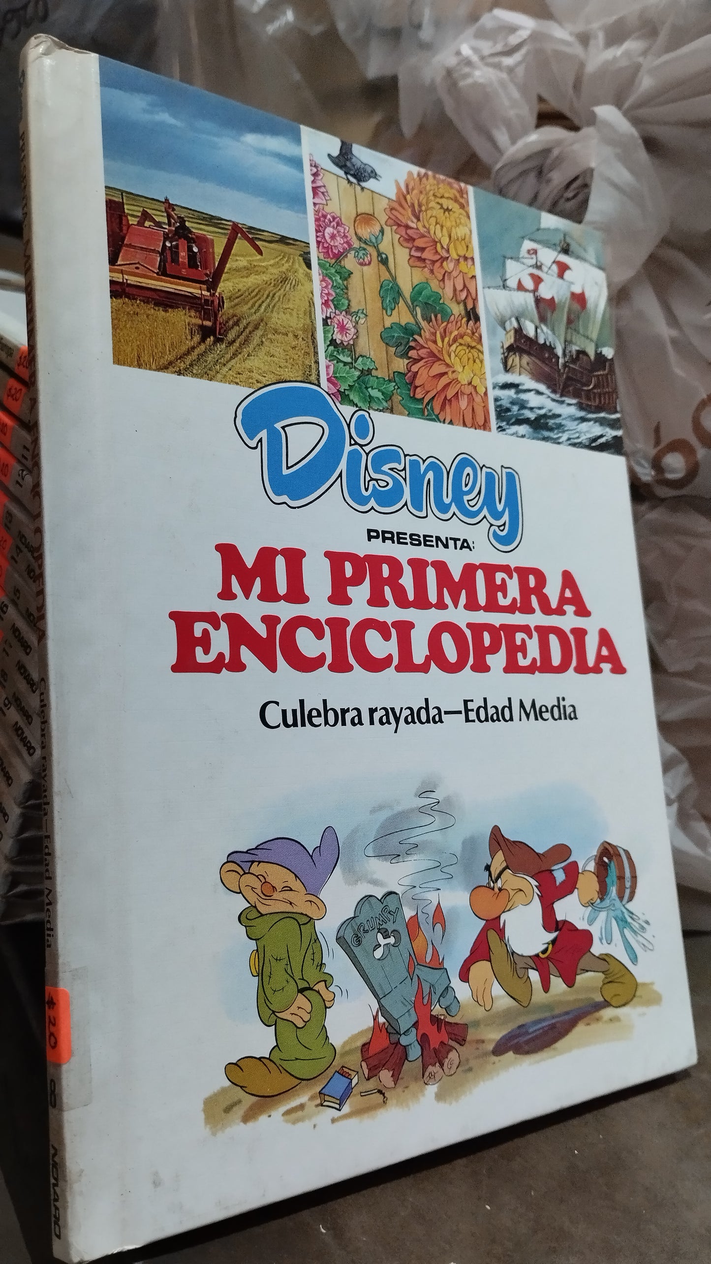 MI PRIMERA ENCICLOPEDIA CULEBRA RAYADA EDAD MEDIA LIBRO USADO INFANTIL ALDAMA