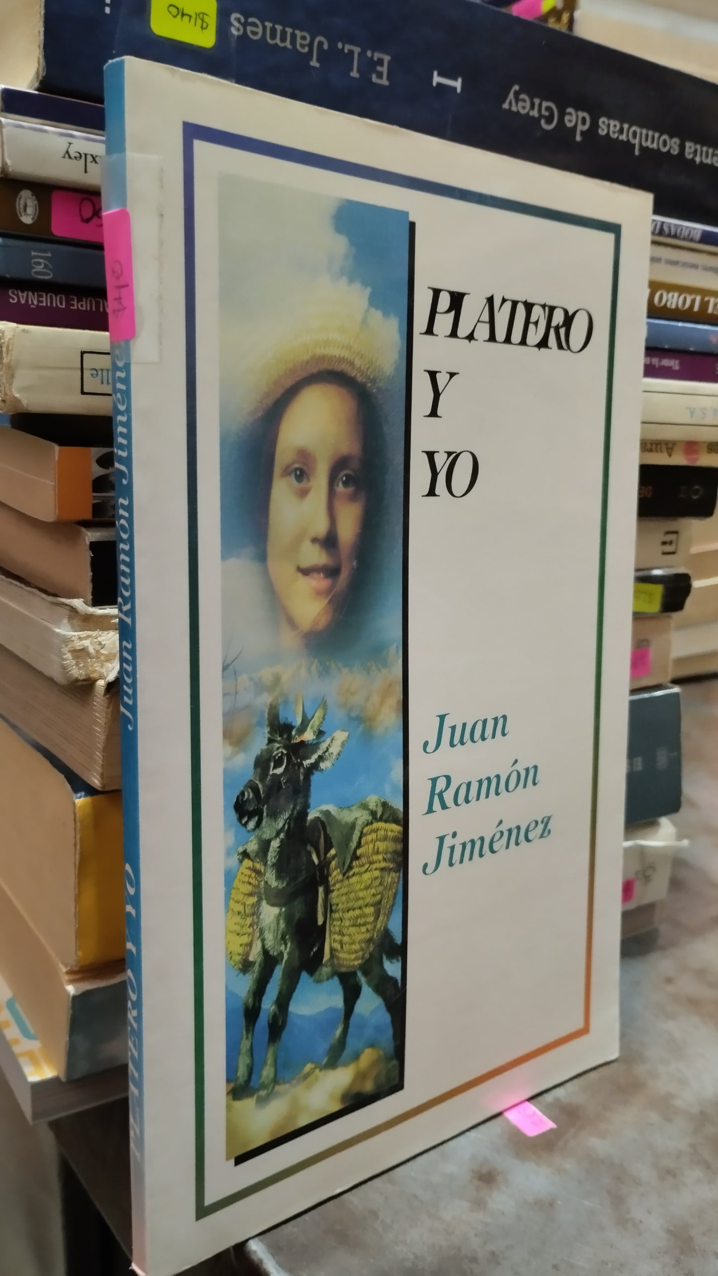 PLATERO Y YO POR JUAN RAMON JIMENEZ LIBRO USADO NOVELAS ALDAMA