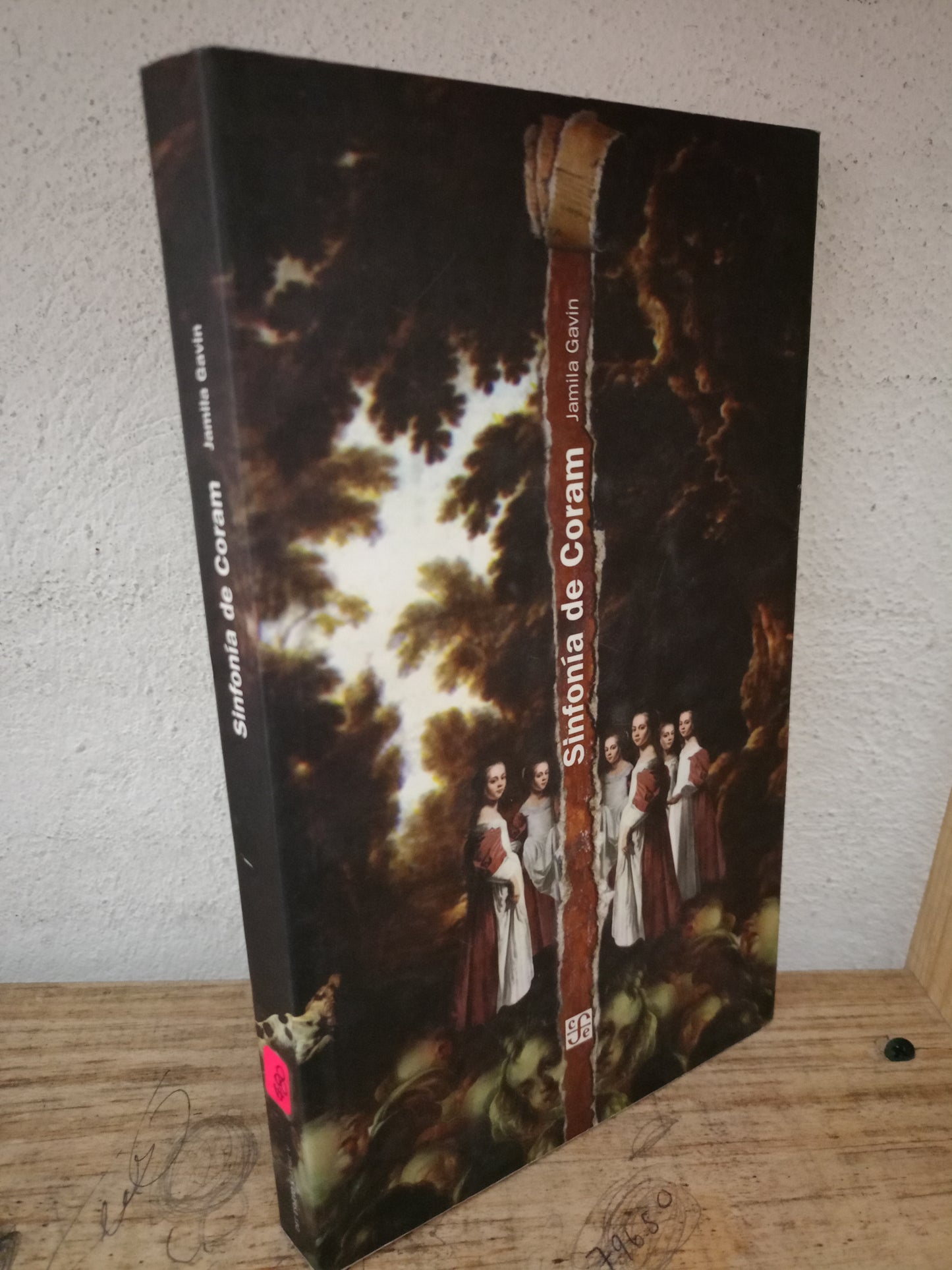 SINFONIA DE CORAM JAMILA GAVIN USADO NOVELA LITERARIO 305
