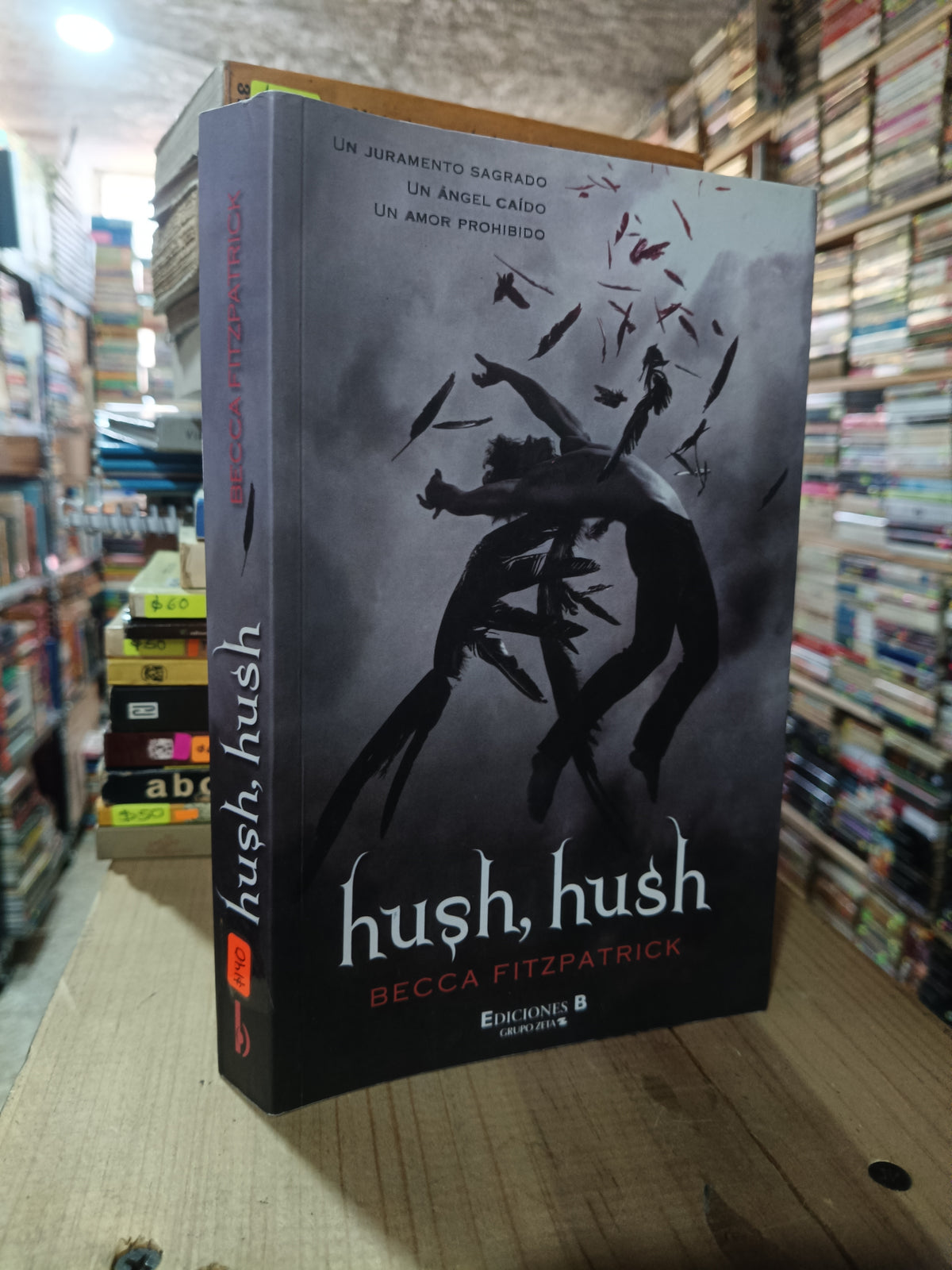 HUSH HUSH POR BECCA FITZPATRICK USADO NOVELA ALDAMA