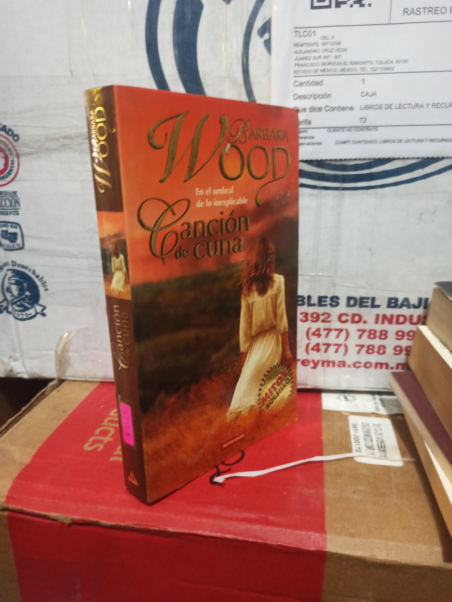 CANCIÓN DE CUNA POR BÁRBARA WOOD USADO NOVELAS JUÁREZ
