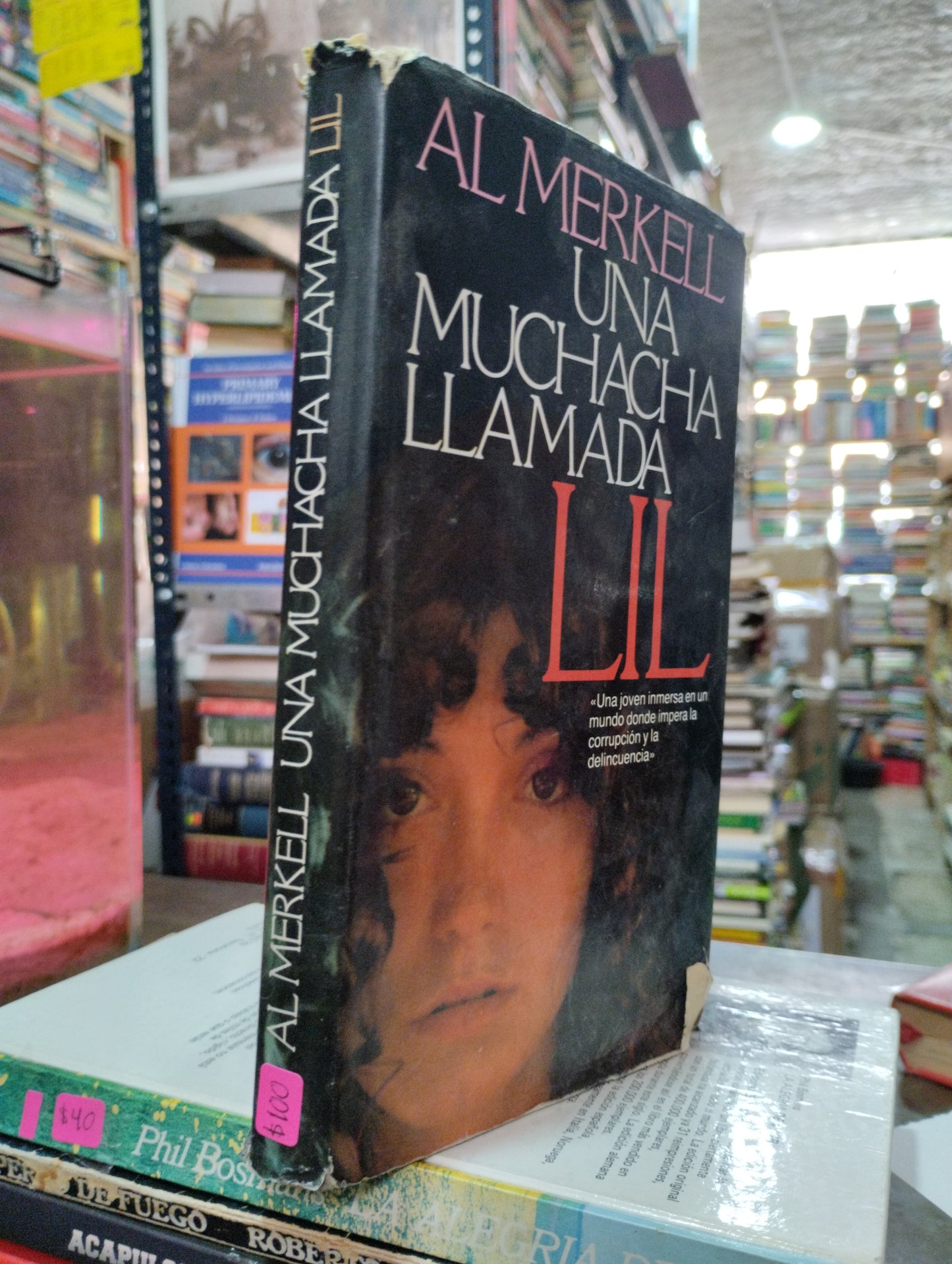 UNA MUCHACHA LLAMADA LIL POR AL MERKELL USADO NOVELAS ALDAMA