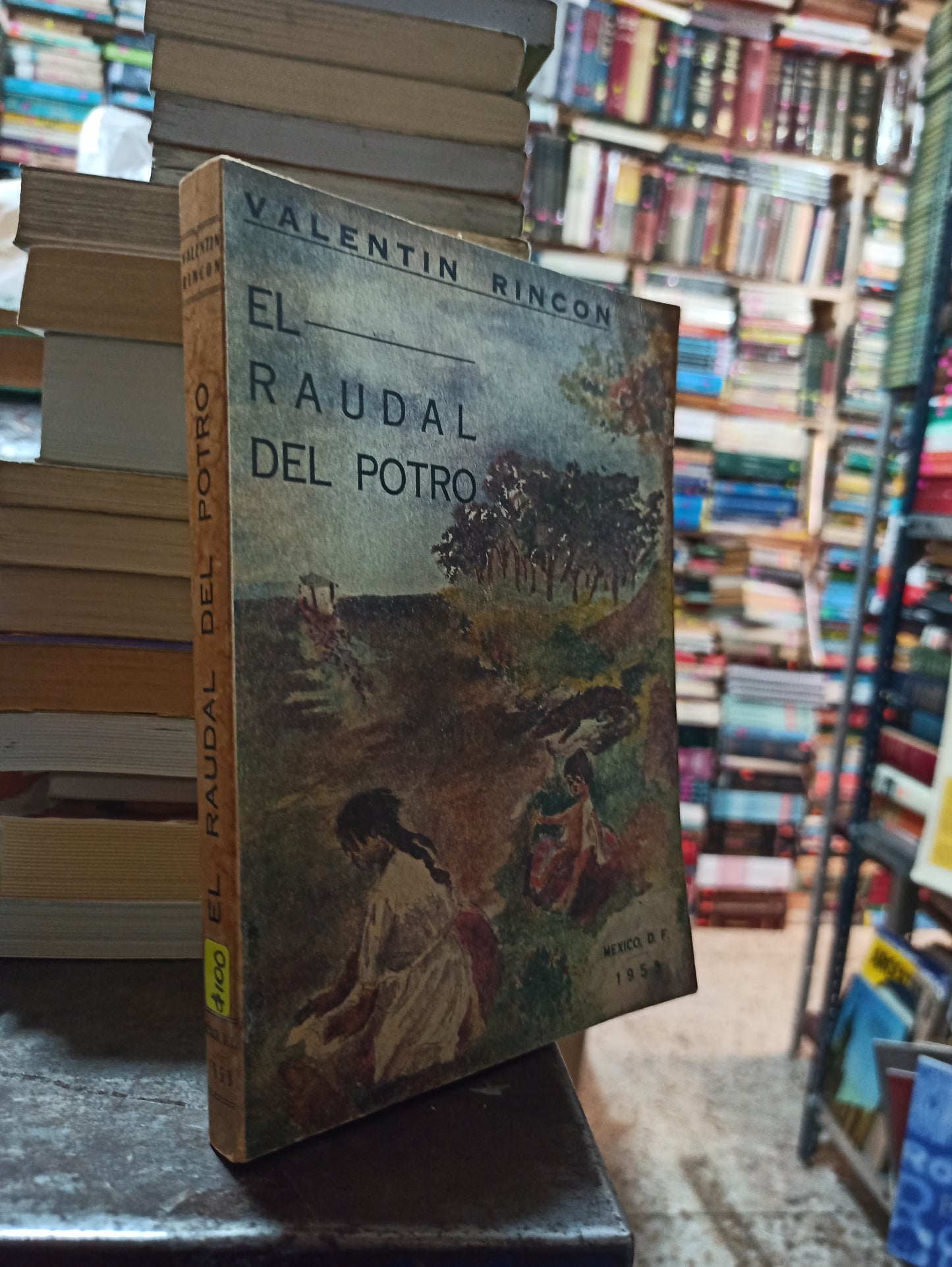 EL RAUDAL DEL POTRO POR VALENTIN RINCON USADO ANTIGUOS ALDAMA