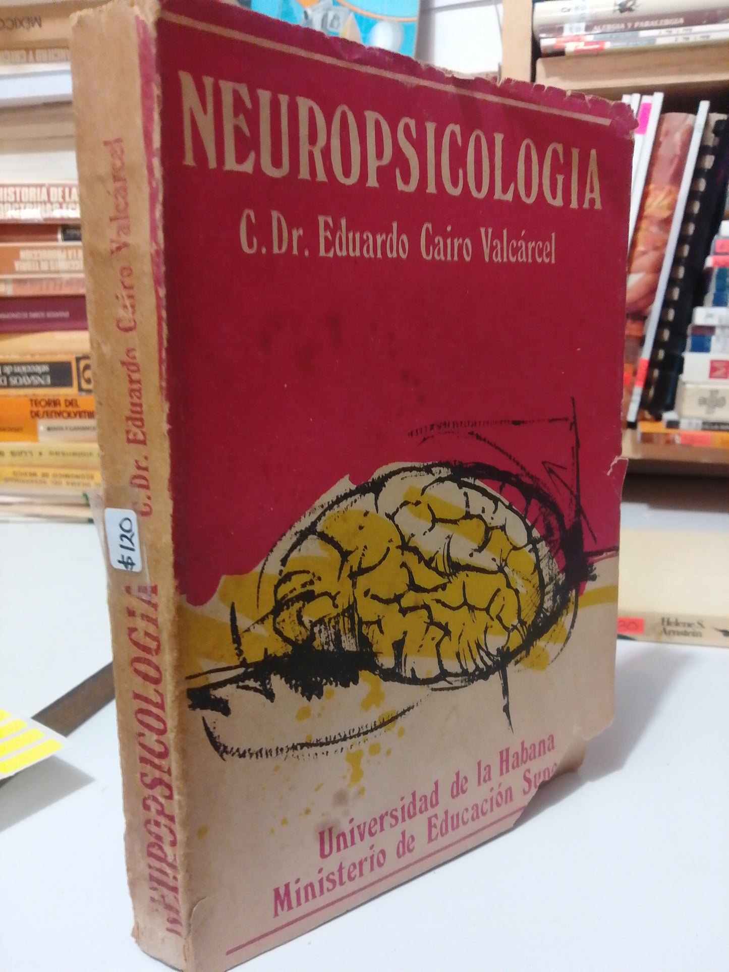 NEUROPSICOLOGIA POR C.DR. EDUARDO CAIRO VALCARCEL USADO PSICOLOGIA JUAREZ