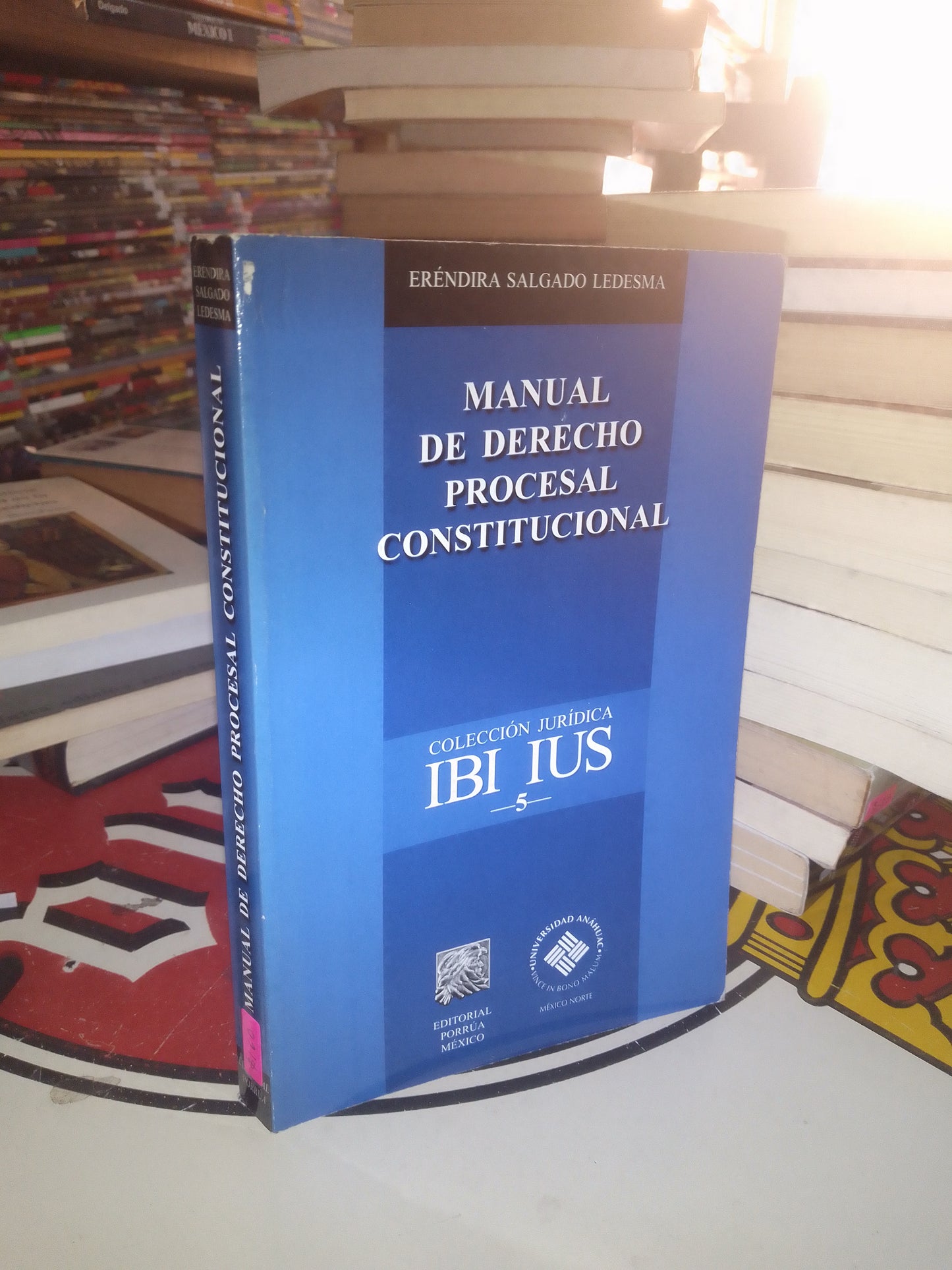 MANUAL DE DERECHO PROCESAL CONSTITUCIONAL POR ERÉNDIRA SALGADO LEDESMA USADO DERECHO LITERARIO 207