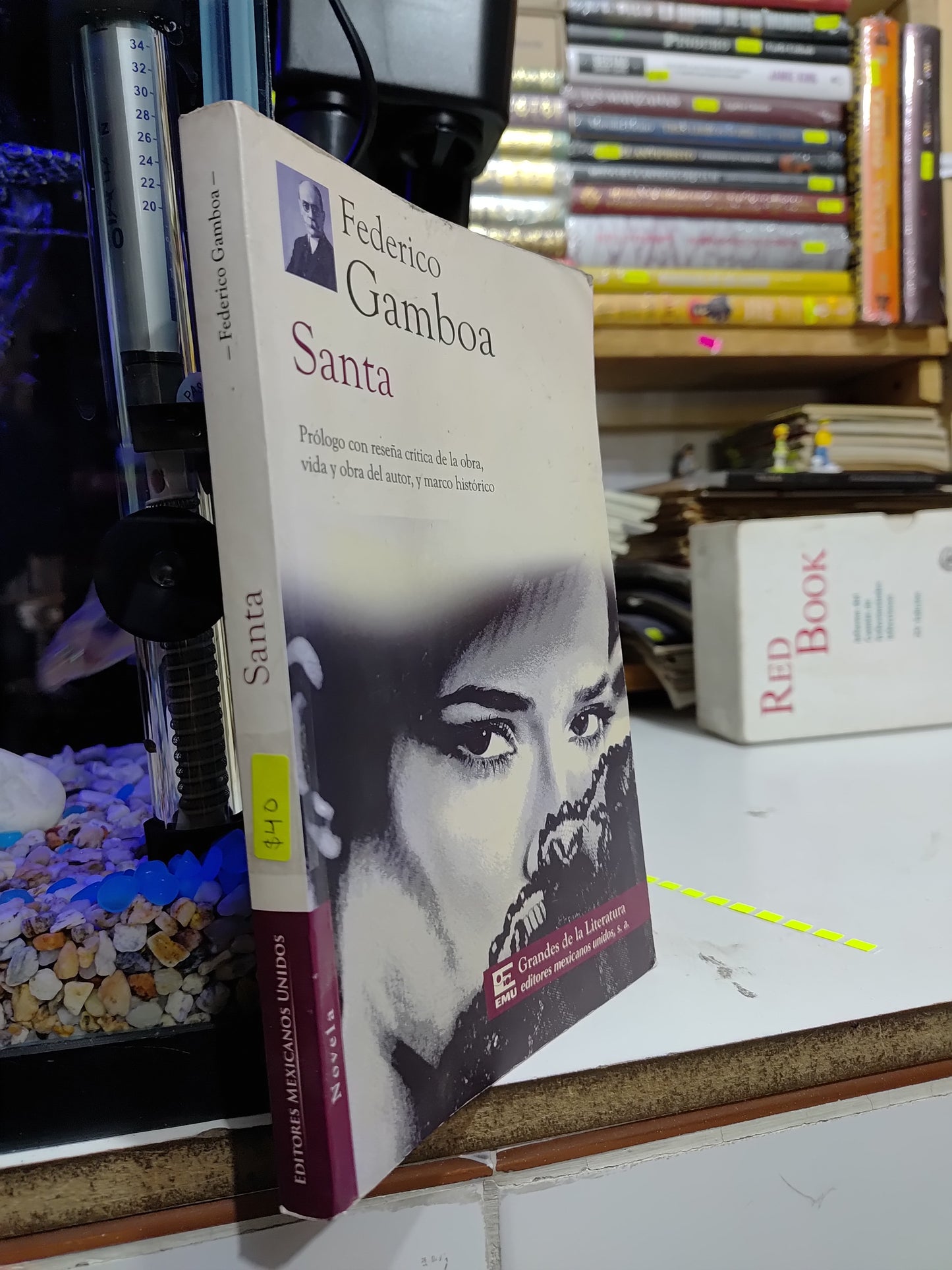 SANTA POR FEDERICO GAMBOA USADO NOVELAS JUAREZ