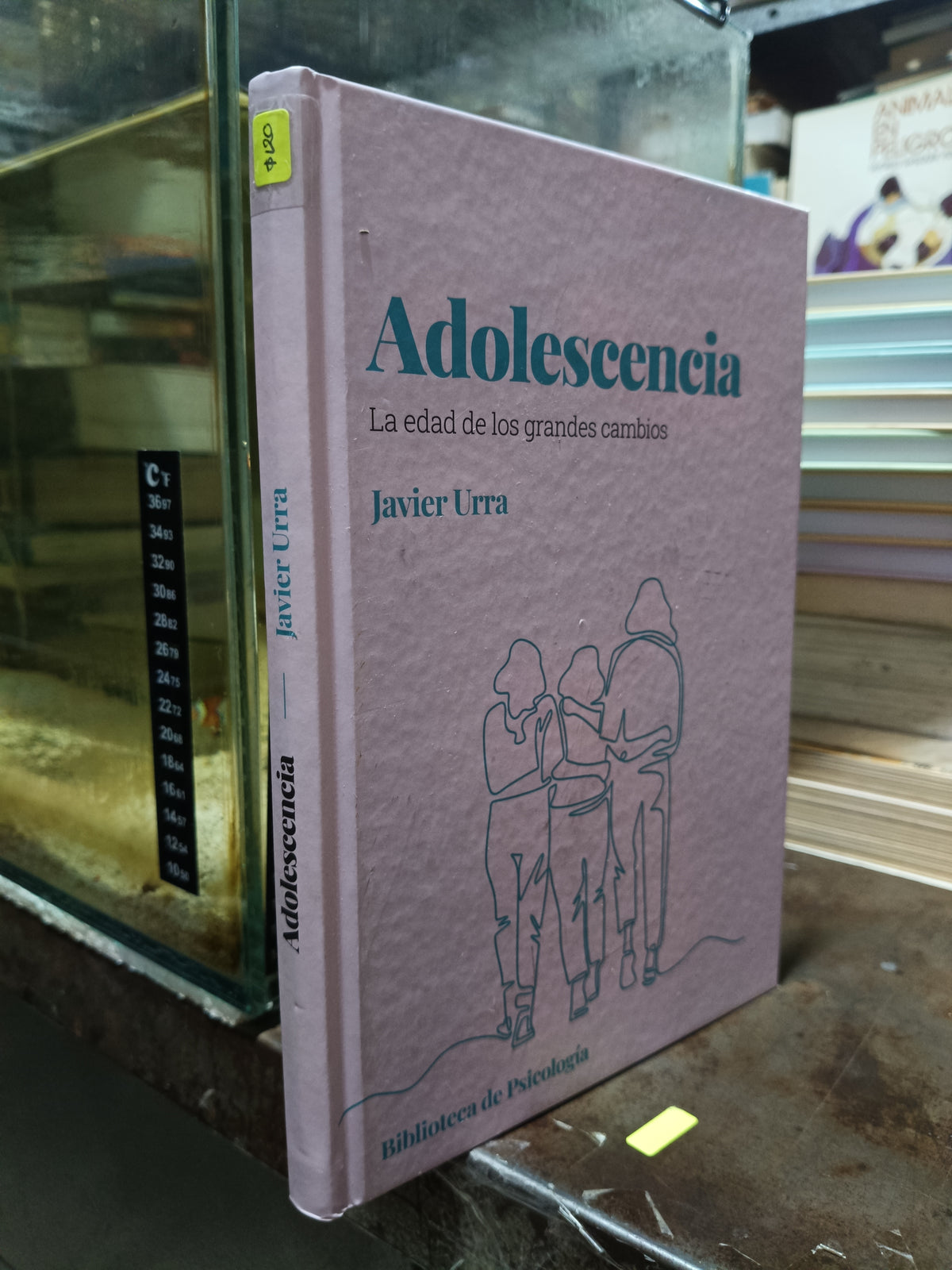 ADOLESCENCIA POR JAVIER URRA USADO PSICOLOGIA ALDAMA