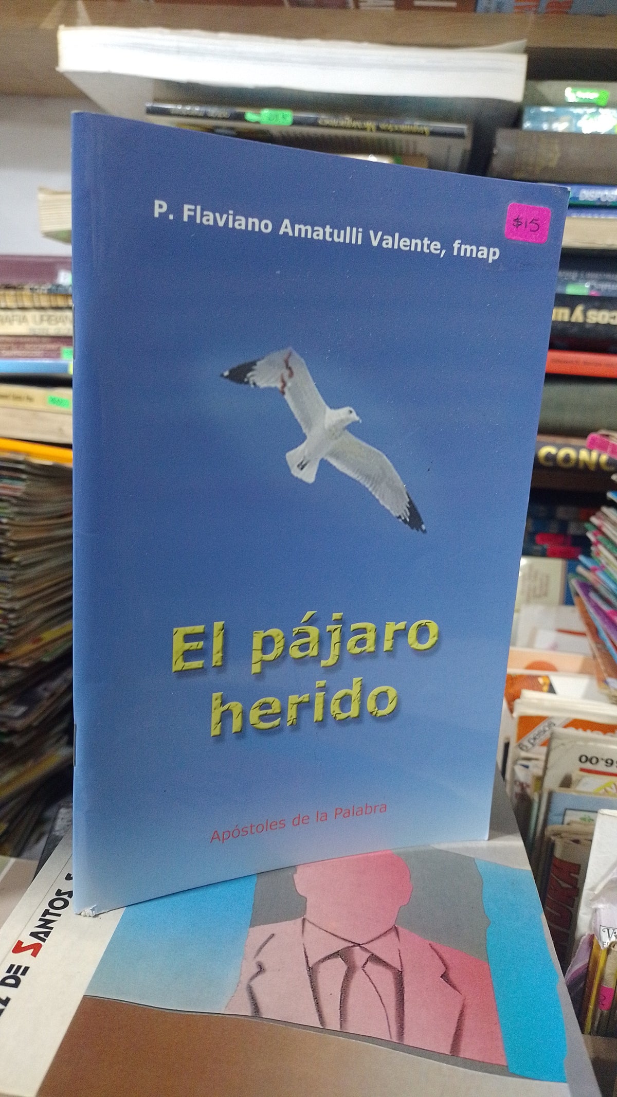 EL PAJARO HERIDO POR FLAVIANO AMATULLI VALENTE USADO RELIGION JUAREZ 507