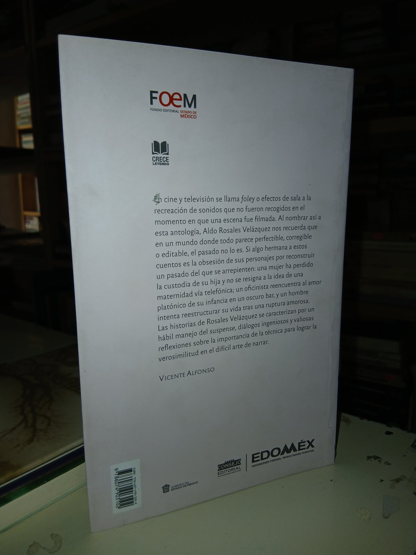 FOLEY POR ALDO ROSALES VELÁZQUEZ USADO NOVELA LITERARIO 207