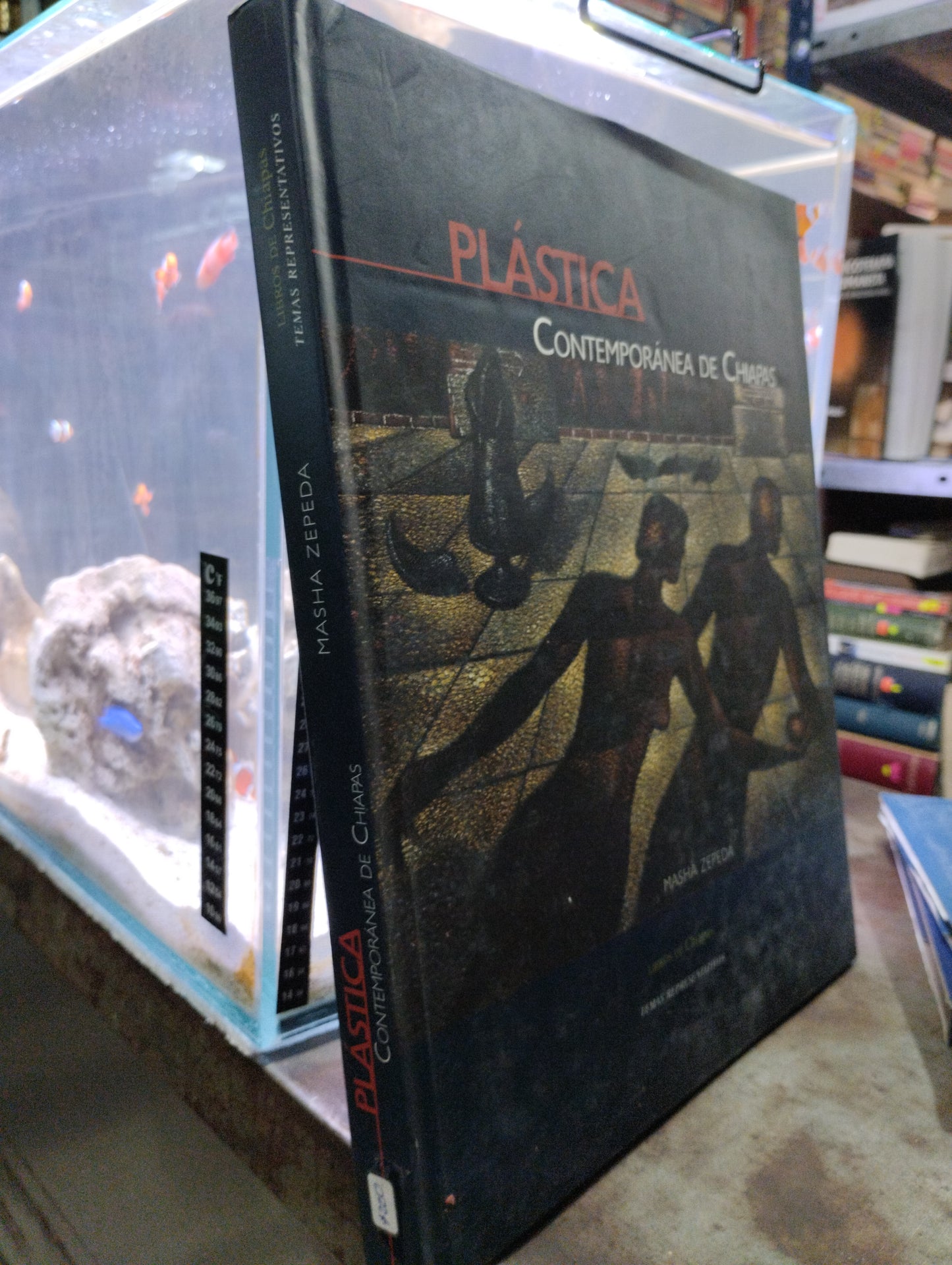 PLASTICA CONTEMPORANEA DE CHIAPAS POR MASHA ZEPEDA USADO ARTE ALDAMA
