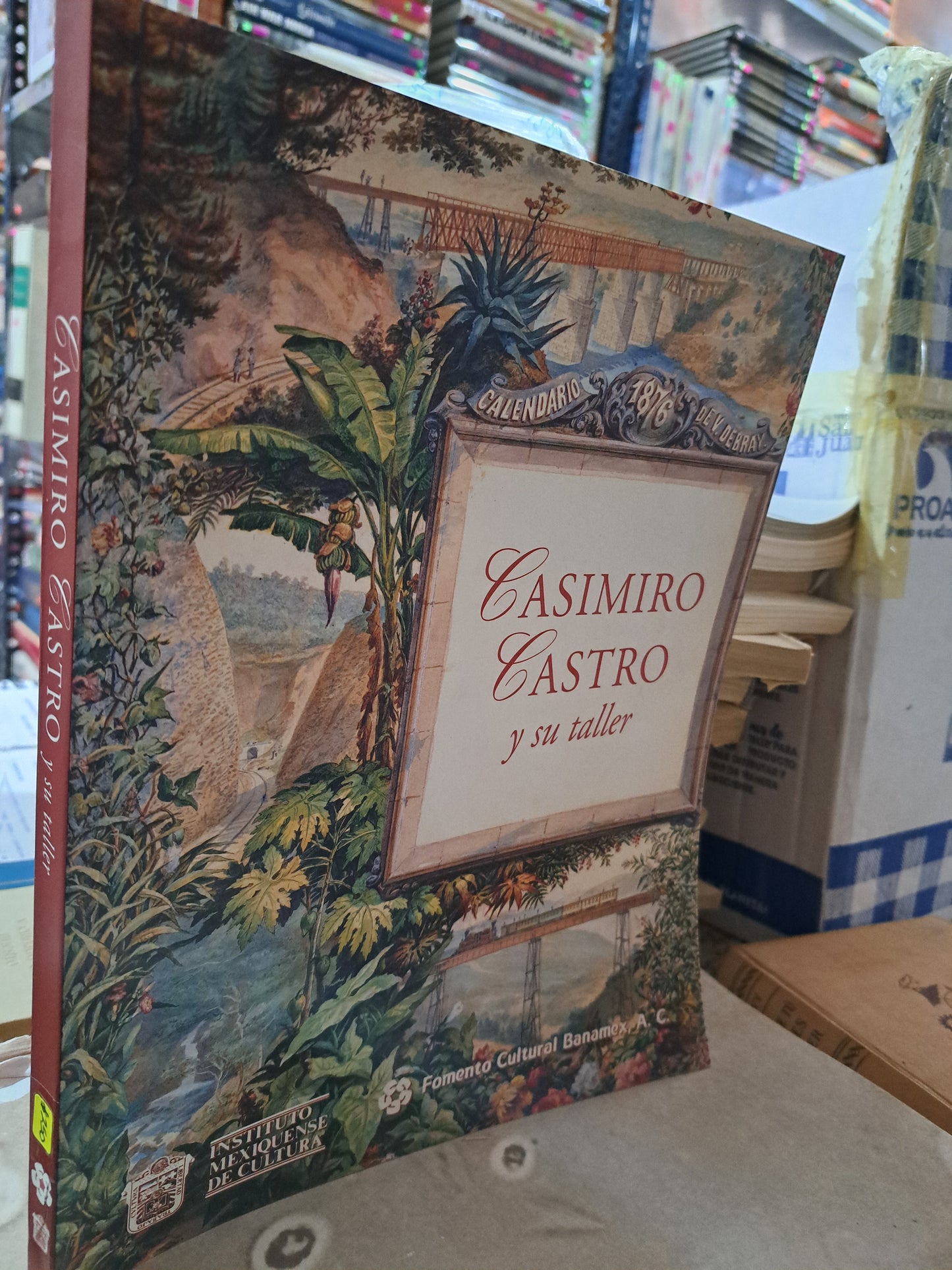 CASIMIRO CASTRO Y SU TALLER CARLOS MONSIVÁIS ET.AL, USADO ESTADO DE MÉXICO ALDAMA