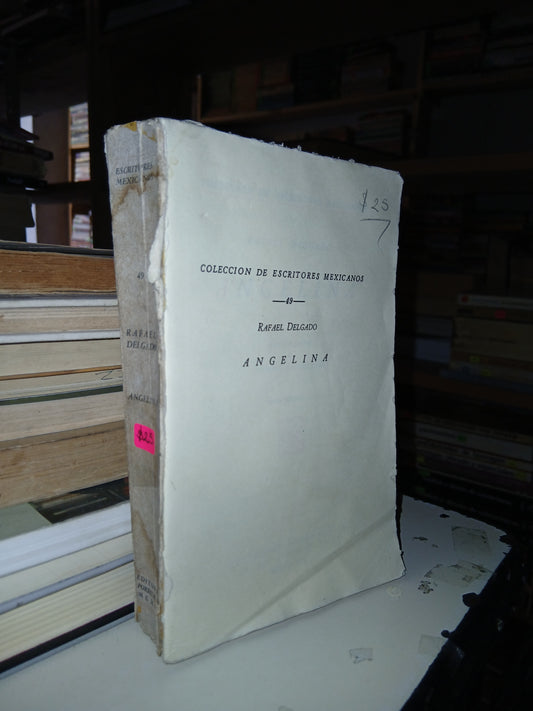 ANGELINA POR RAFAEL DELGADO USADO NOVELA LITERARIO 207
