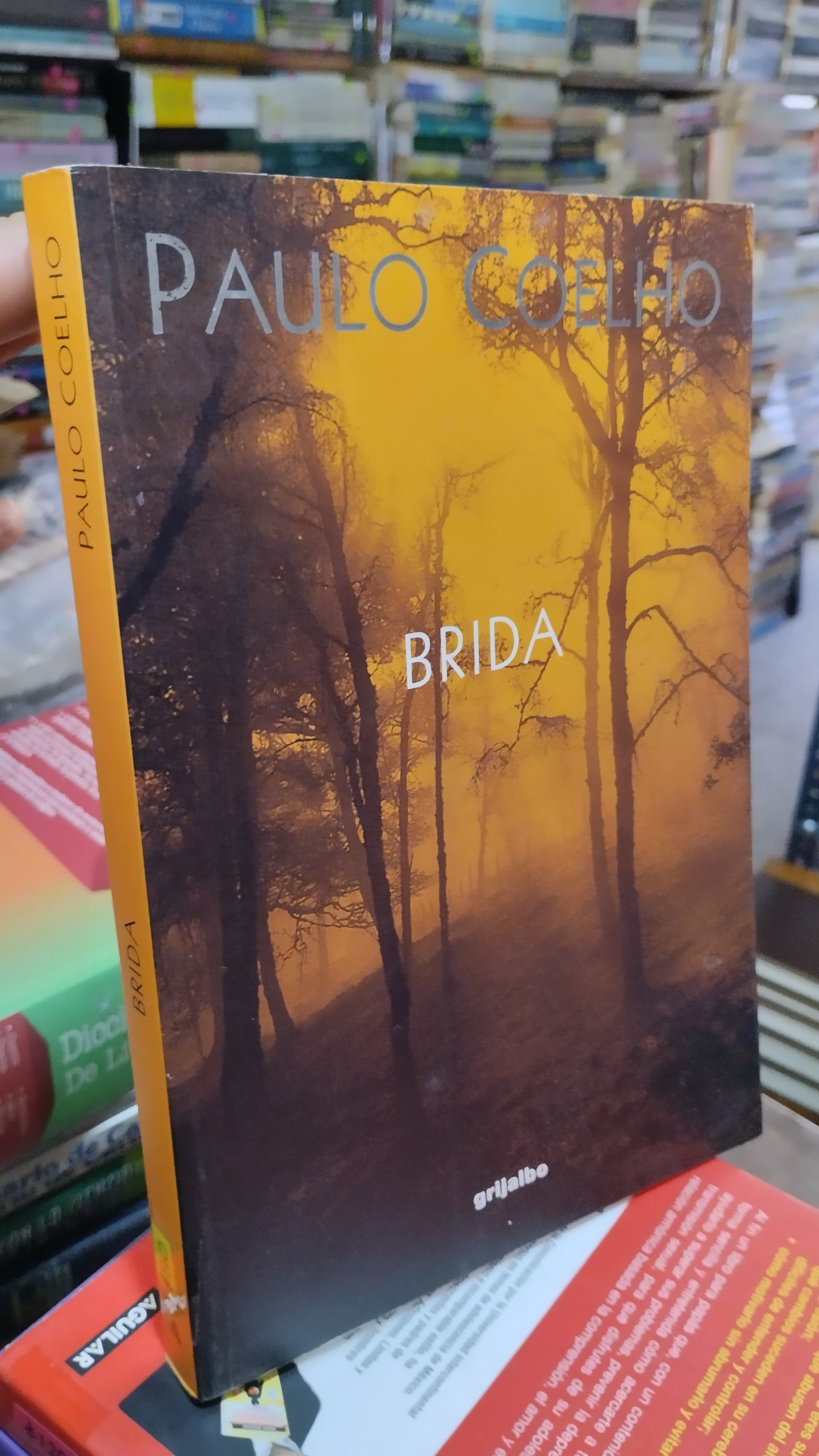 BRIDA POR PAULO COELHO LIBRO USADO SUPERACION PERSONAL ALDAMA
