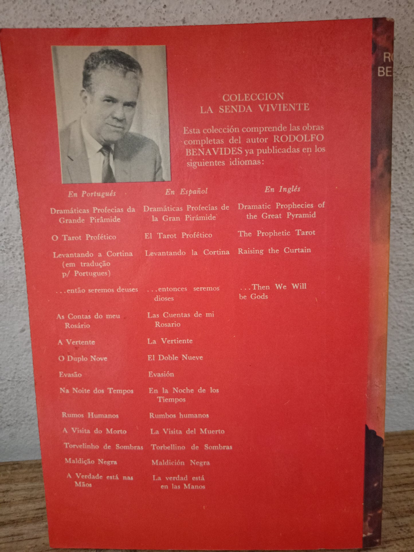 LA VERTIENTE RODOLFO BENAVIDES USADO NOVELA LITERARIO 305