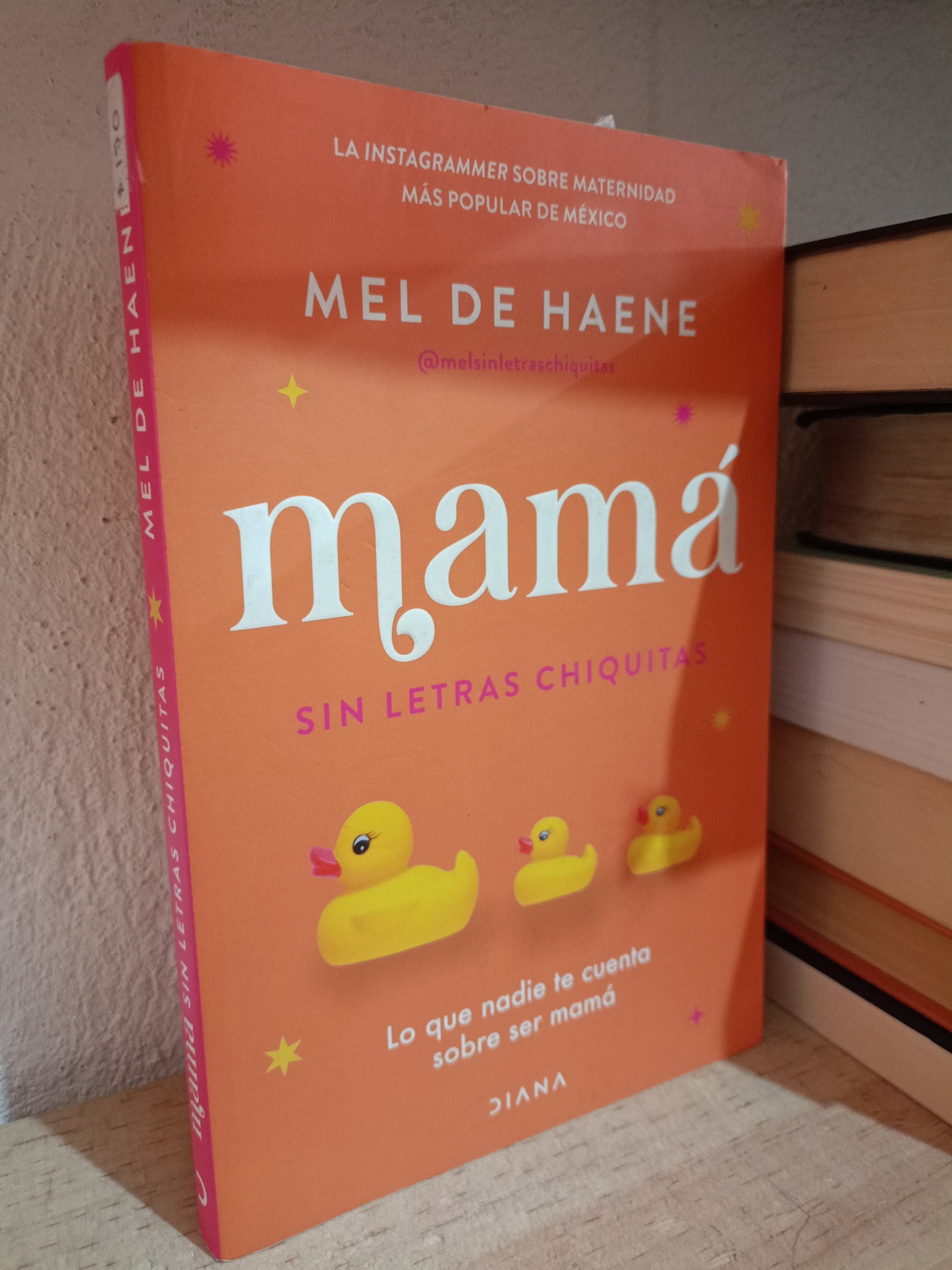 MAMA SIN LETRAS CHIQUITAS POR MEL DE HAENE USADO S.PERSONAL LITERARIO 305