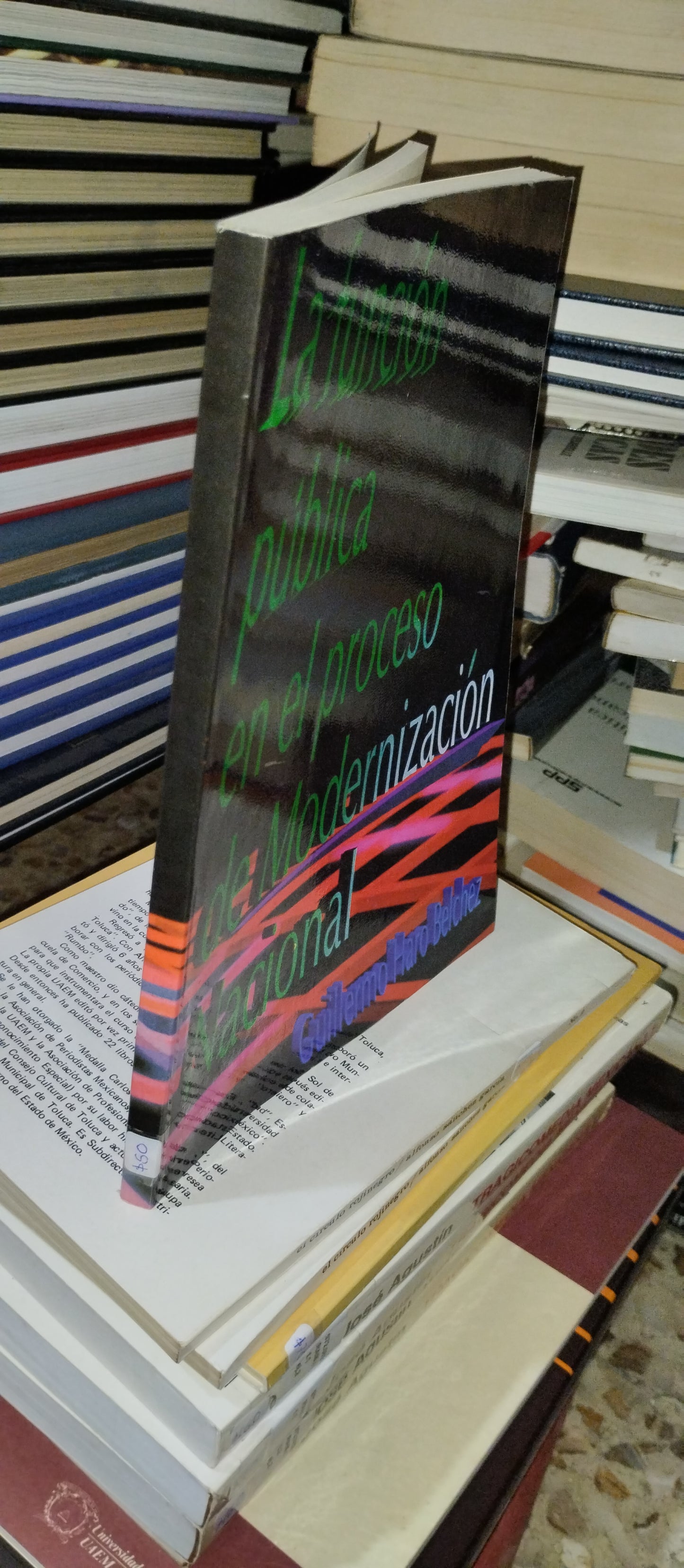 LA FUNCION PUBLICA EN EL PROCESO DE MODERNIZACION NACIONAL POR GUILLERMO HARO BELCHEZ USADO SOCIOLOGIA ALDAMA