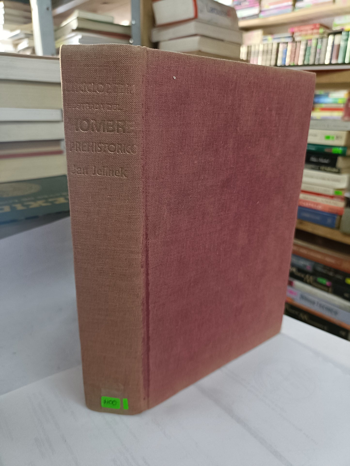 ENCICLOPEDIA ILUSTRADA DEL HOMBRE PREHISTORICO POR JAN JELINEK USADO HISTORIA LITERARIO 207