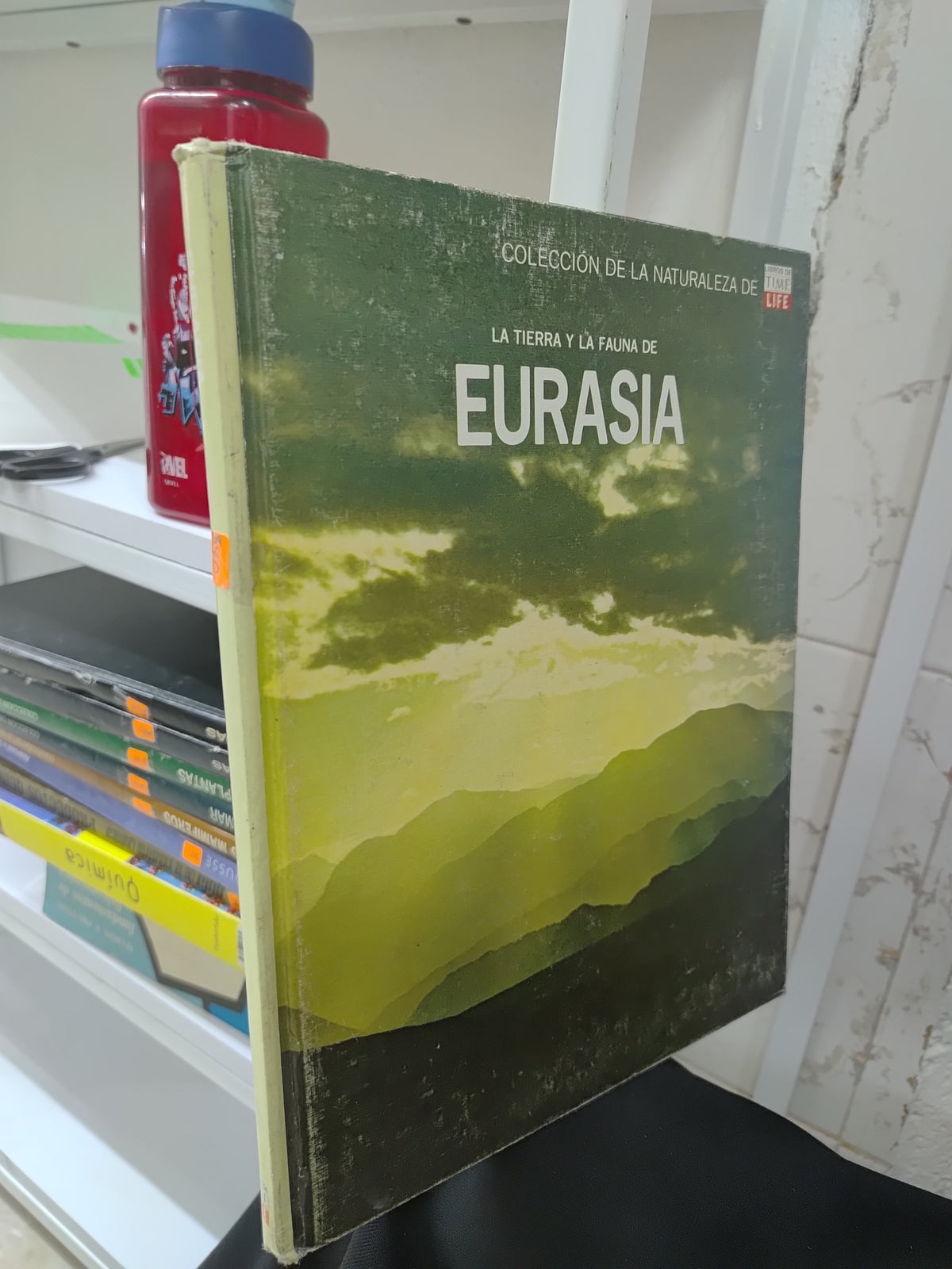 LA TIERRA Y LA FAUNA DE EURASIA POR EDITORIAL CULTURALES INTERNACIONALES USADO BIOLOGIA JUAREZ 515