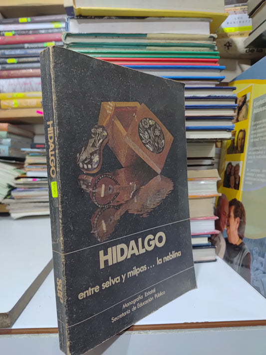 HIDALGO ENTRE SELVA Y MILPAS LA NEBLINA POR LA SEP USADO HISTORIA JUAREZ