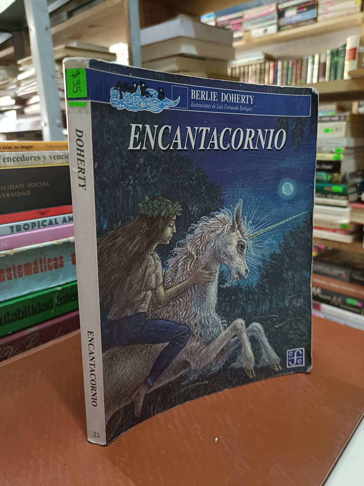 ENCANTACORNIO POR BERLIE DOHERTY USADO INFANTIL LITERARIO 207
