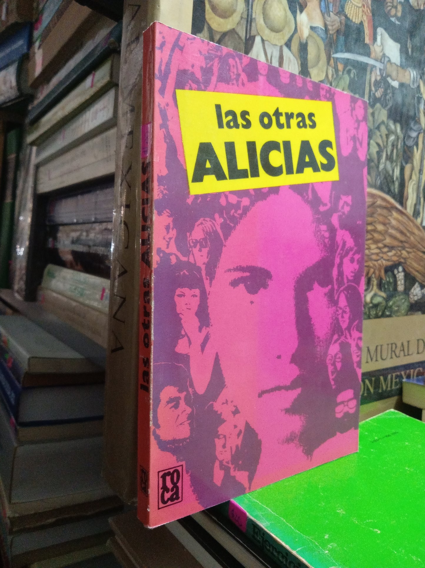 LAS OTRAS ALICIAS USADO NOVELA JUAREZ