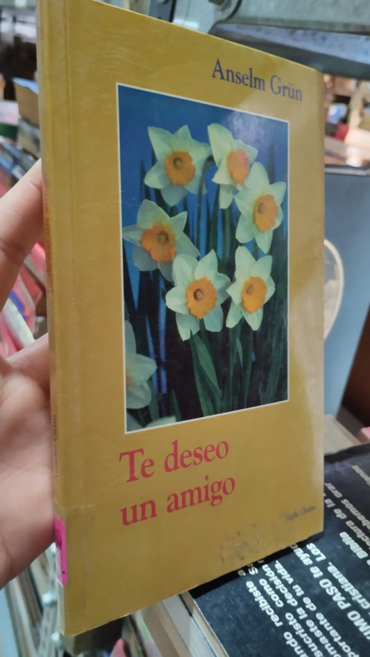 TE DESEO UN AMIGO POR ANSELM GRÜN LIBRO USADO RELIGION ALDAMA