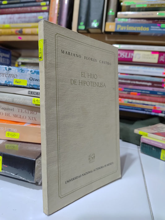 EL HIJO DE HIPOTENUSA POR MARIANL FLORES CASTRO USADO POESIA JUAREZ