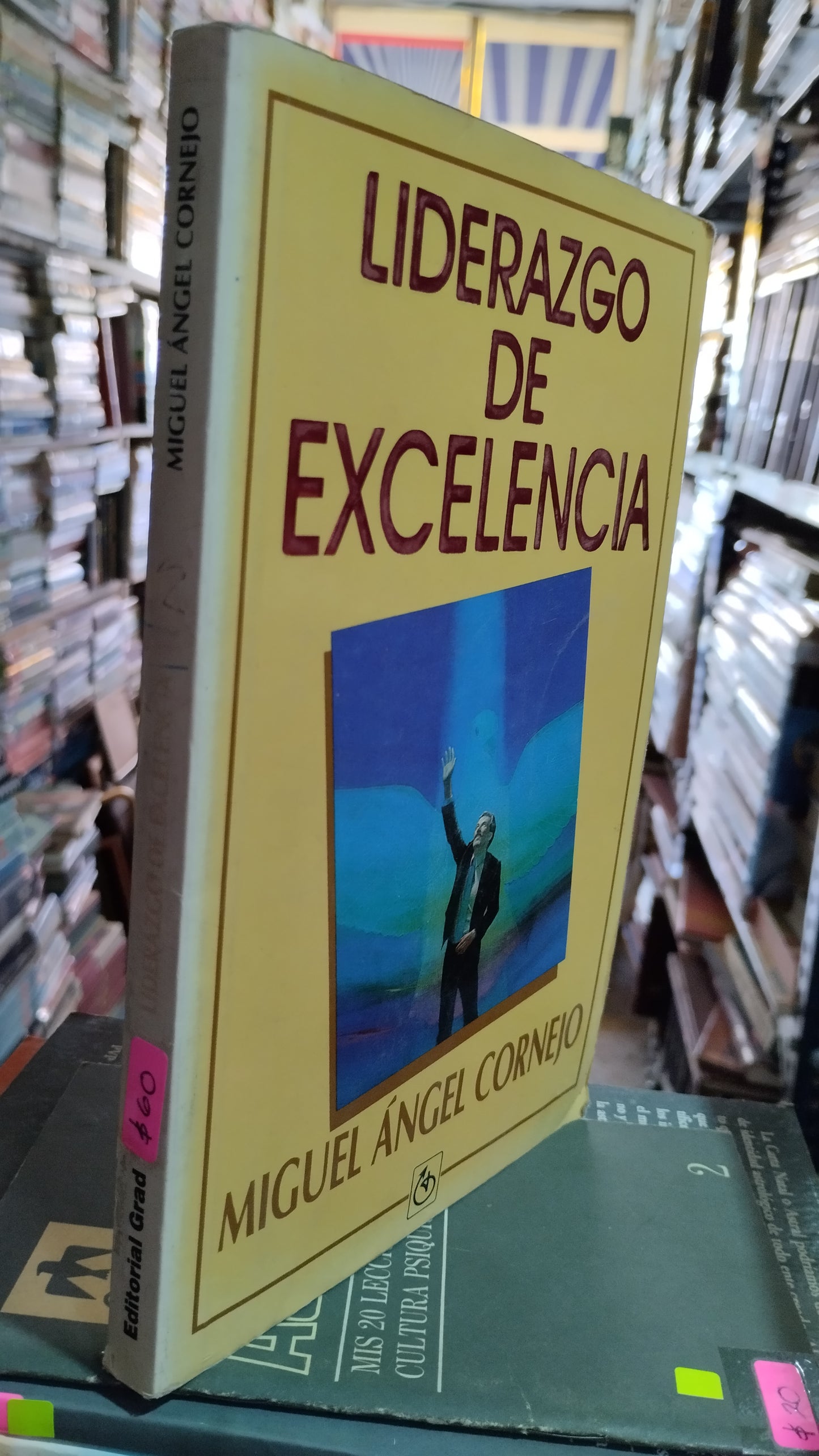 LIDERAZGO DE EXCELENCIA POR MIGUEL ANGEL CORNEJO LIBRO USADO SUPERACION PERSONAL ALDAMA